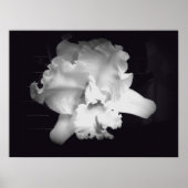 Orchid - Vivid Black en White Abstract Poster (Voorkant)