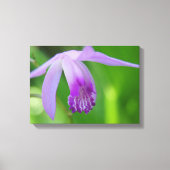 Orchid voor jou! canvas afdruk (Voorkant)