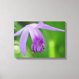 Orchid voor jou! canvas afdruk