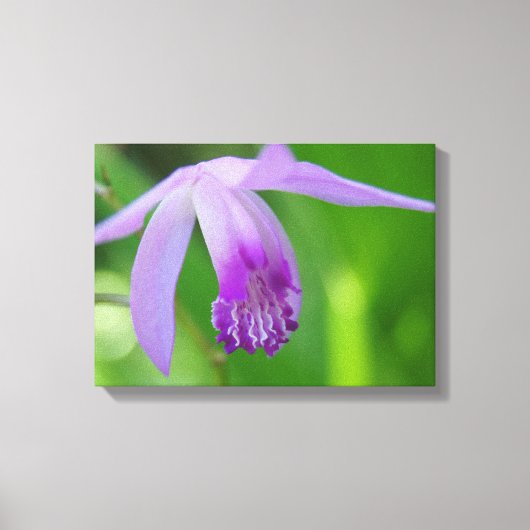 Orchid voor jou! canvas afdruk (Voorkant)