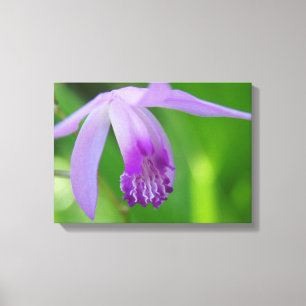 Orchid voor jou! canvas afdruk
