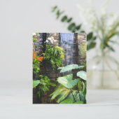 Orchid Wall Briefkaart (Staand voorkant)