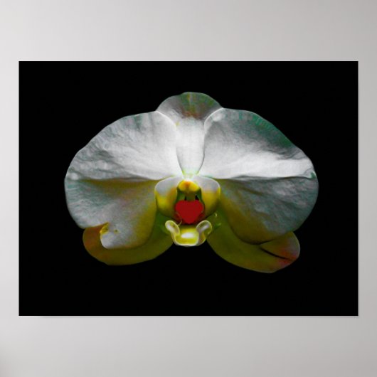 Orchid was haar hart poster (Voorkant)