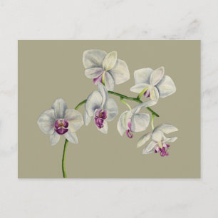 Orchid Waterverf schilderen Briefkaart
