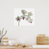 Orchid Waterverf schilderen Poster (Keuken)