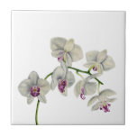 Orchid Waterverf schilderen Tegeltje<br><div class="desc">Dit is een schilderij van de waterverf van mijn orchidee plant. Ik gebruikte Daniel Smith waterverf verf op Arches heet geperst papier.</div>