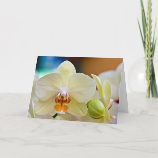 Orchid • Wenskaart Kaart (Voorkant)
