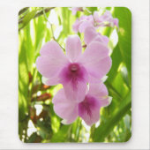 Orchid - wereld van ons muismat (Voorkant)