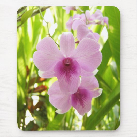 Orchid - wereld van ons muismat (Voorkant)