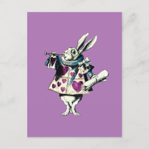 Orchid White Rabbit Decreet Briefkaart