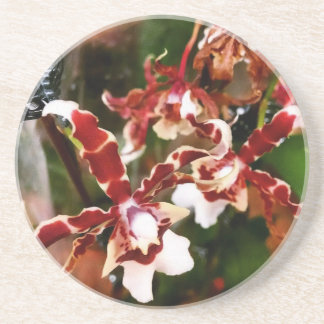 Orchid Zandsteen Onderzetter