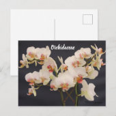 Orchidaceae, orquidea briefkaart (Voorkant / Achterkant)