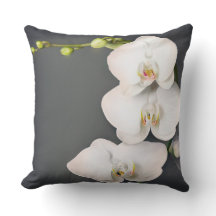 Orchidaceae (witte orchideeën)