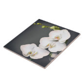 Orchidaceae (witte orchideeën) tegeltje (Zijkant)