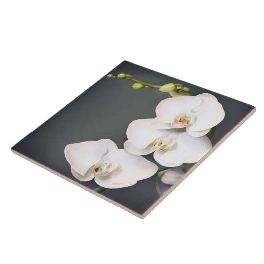 Orchidaceae (witte orchideeën) tegeltje (Zijkant)