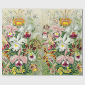 Orchidae Bloemen van papier (Vlak)