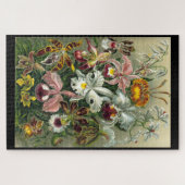 "Orchidae" door Ernst Haeckel legpuzzel (Horizontaal)