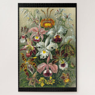 "Orchidae" door Ernst Haeckel legpuzzel