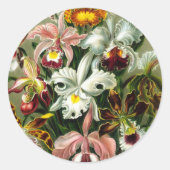 Orchidae Ronde Sticker (Voorkant)