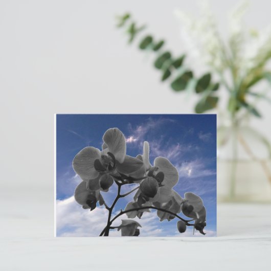 Orchide Briefkaart (Staand voorkant)