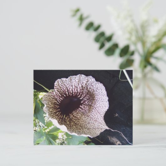 Orchide Briefkaart (Staand voorkant)