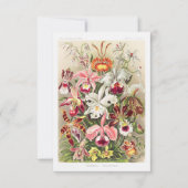 Orchideae Denusblumen A Giltsch By Ernst Haeckel Save The Date (Voorkant)