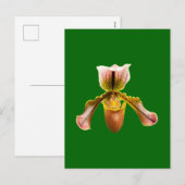 Orchidebloem Feestdagenkaart (Voorkant / Achterkant)