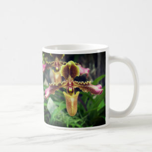 Orchidebloem Koffiemok