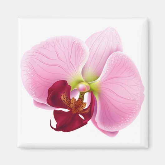 orchidebloem magneet (Voorkant)