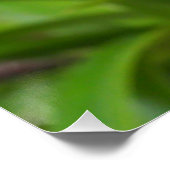 Orchidebloem Perfect Poster (Hoek)