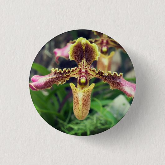 Orchidebloem Ronde Button 3,2 Cm (Voorkant)