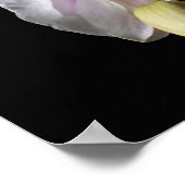 Orchidebloemen, van Sinisa Botas Poster (Hoek)