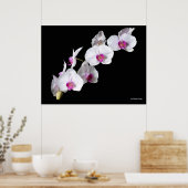 Orchidebloemen, van Sinisa Botas Poster (Keuken)