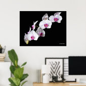 Orchidebloemen, van Sinisa Botas Poster (Thuiskantoor)