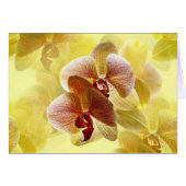 Orchidee (Voorkant Horizontaal)