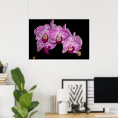 Orchidee 1 op zwart poster (Thuiskantoor)