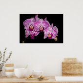 Orchidee 1 op zwart poster (Keuken)