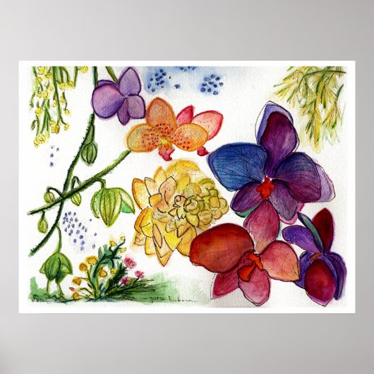 orchidee-40 poster (Voorkant)