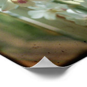 orchidee 8 x 8 originele Natuur TTV foto Poster (Hoek)