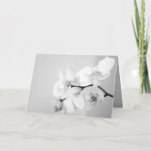 Orchidee aangevraagd (Achterkant)