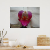 Orchidee aangezicht poster (Keuken)