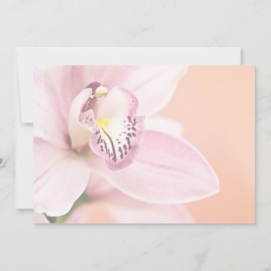 Orchidee • Aankondiging Bewaar de Datum (Achterkant)