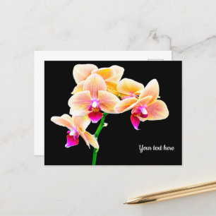 Orchidee Ansichtkaart Briefkaart
