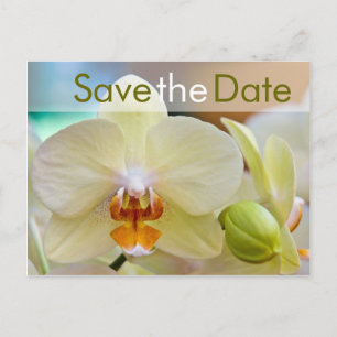 Orchidee · Bewaar de datum Postkarte Aankondigingskaart