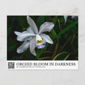 Orchidee bloeit in duisternis briefkaart