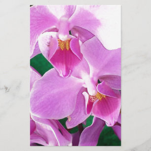 Orchidee bloeit in roze briefpapier
