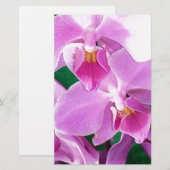 Orchidee bloeit in roze briefpapier (Voorkant / Achterkant)