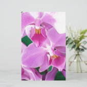 Orchidee bloeit in roze briefpapier (Staand voorkant)
