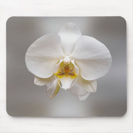 Orchidee bloem muismat (Voorkant)