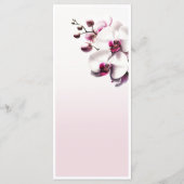 Orchidee Bloem Roze & Witte Trouwmenu Menu (Achterkant)